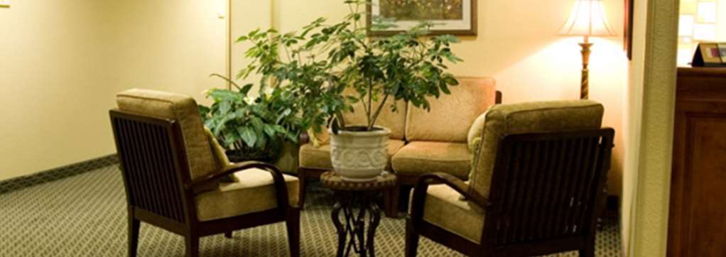 Comfort Inn & Suites Lexington Interior photo